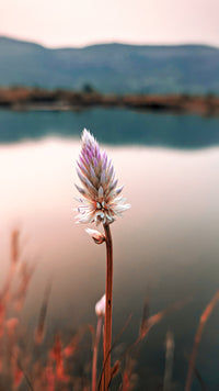 Test Product